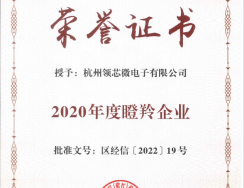 杭州领芯微电子有限公司成功获评2020年度杭州高新区（滨江）瞪羚企业！