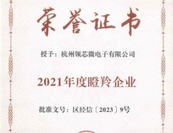 Leadcore Micro for two consecutive years, Hangzhou High-tech Zone (Binjiang) gazelle enterprises!